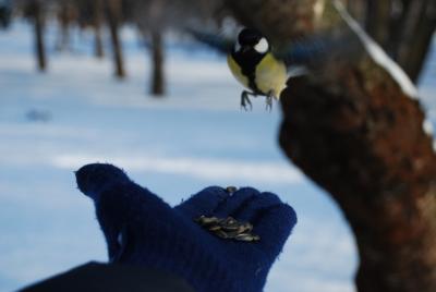 Прикрепленное изображение: p2.jpg